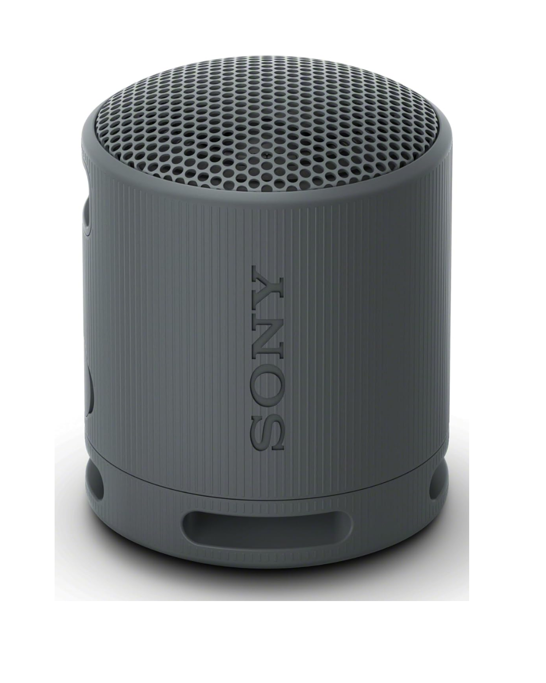 Sony SRS-XB100 Wireless Speaker